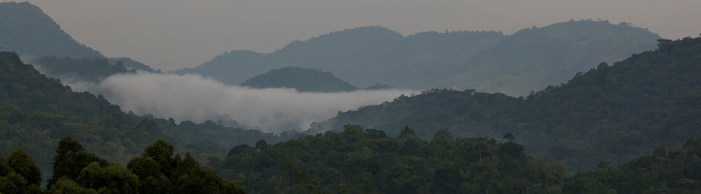 Silverback Lodge Buhoma Exterior photo
